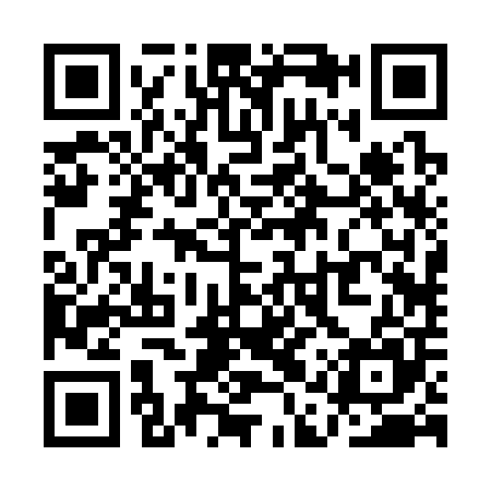 QR code for QAR305