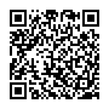 QR code for QCA313