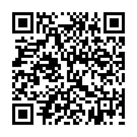QR code for QCY295