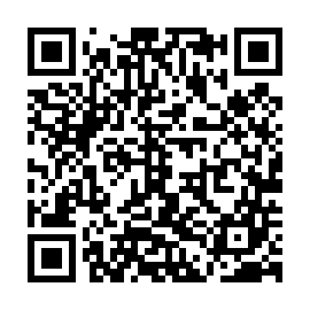 QR code for QDL447
