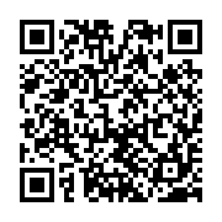QR code for QFG294