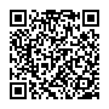 QR code for QGG389