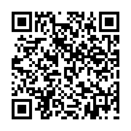 QR code for QID370