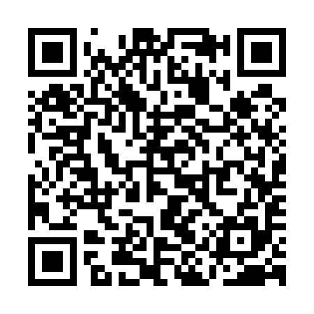 QR code for QIS595