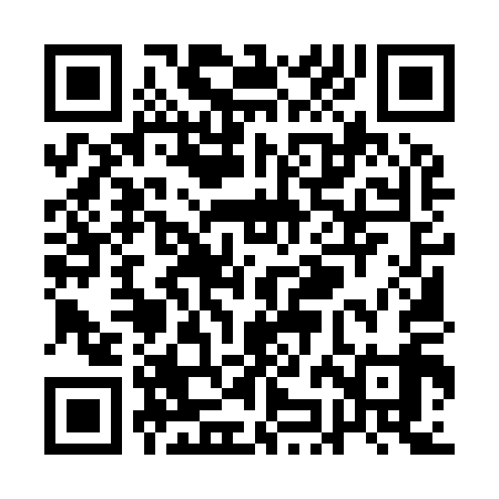 QR code for QJM919