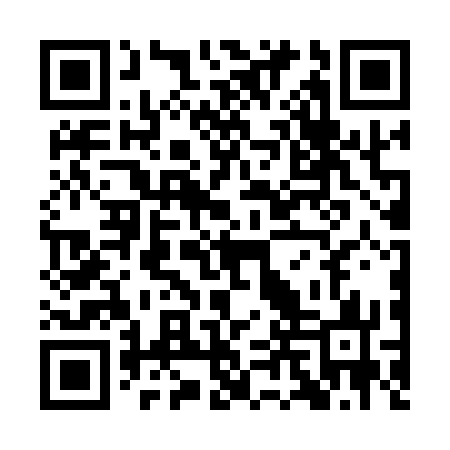 QR code for QLV173