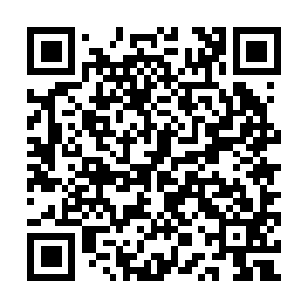 QR code for QPU293