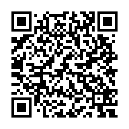 QR code for QQM729