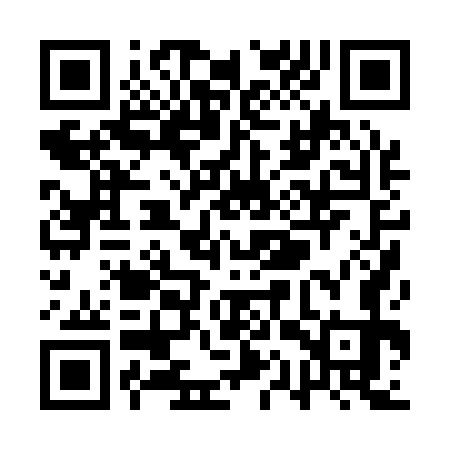 QR code for QQP173