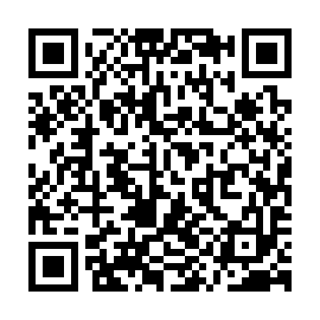 QR code for QYE393