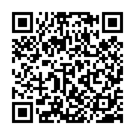 QR code for QYN411