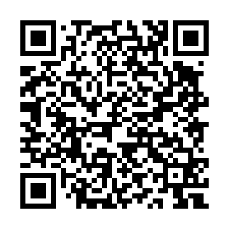 QR code for QYX460