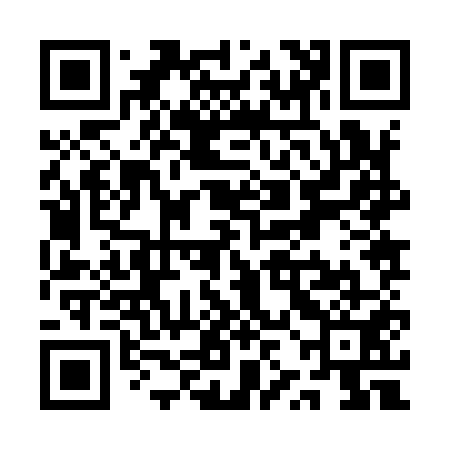 QR code for QZJ951