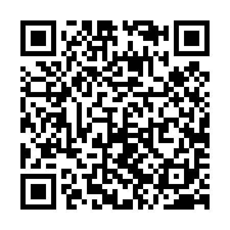 QR code for QZT491