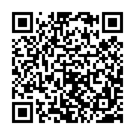 QR code for QZT496