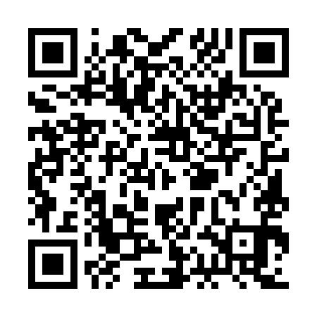 QR code for RAE991