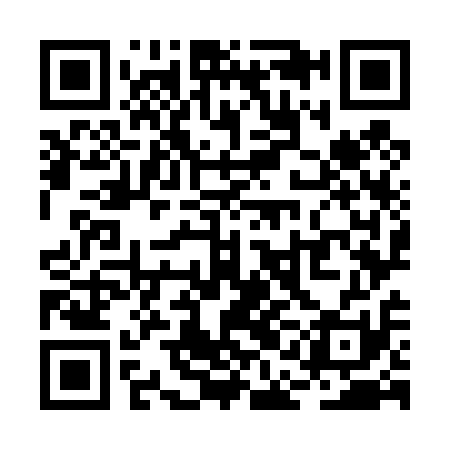 QR code for RAO411
