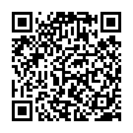 QR code for RAY611