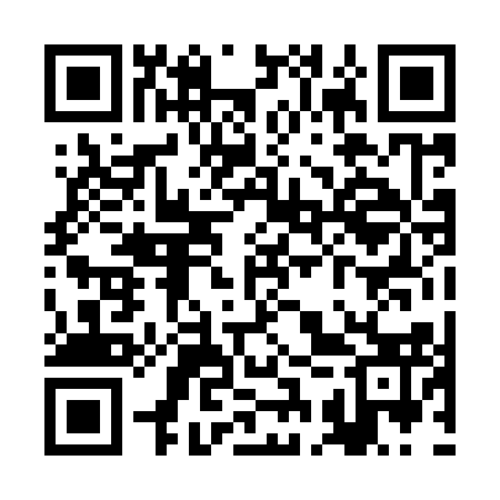 QR code for RCP913
