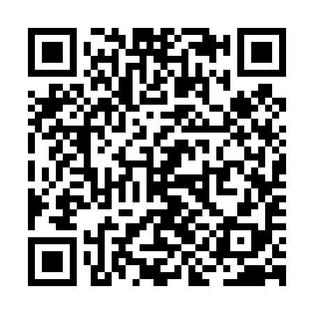QR code for RIC498