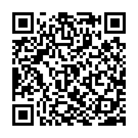 QR code for RIT799