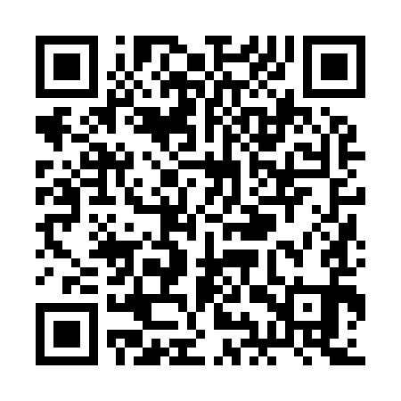 QR code for RIZ991