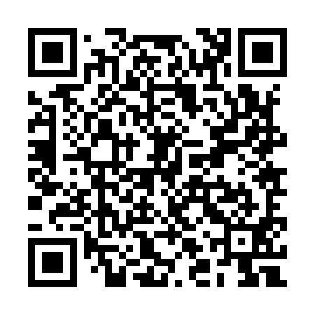 QR code for RLZ991