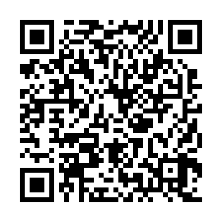 QR code for RMB208