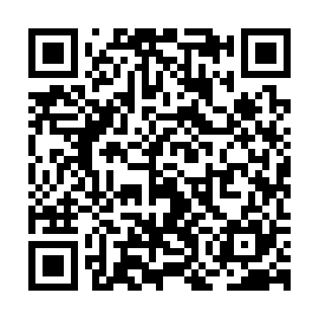 QR code for ROI325