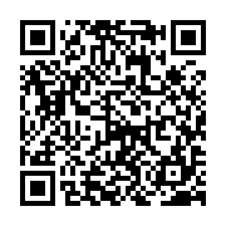 QR code for ROM994