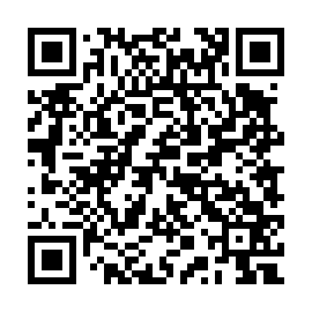 QR code for RPT463