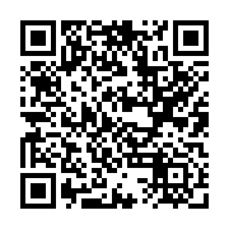 QR code for RSN313