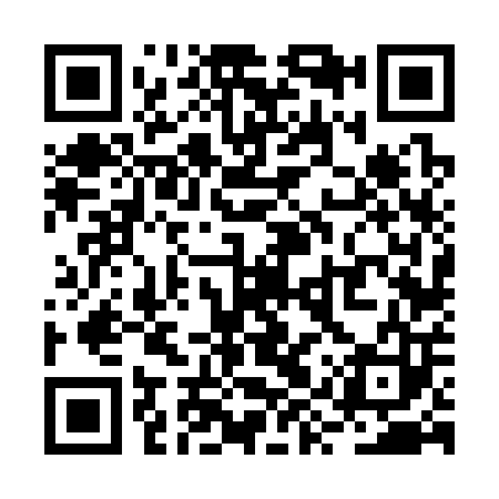QR code for RYV303