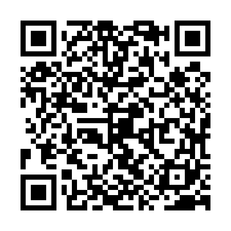 QR code for RYZ561