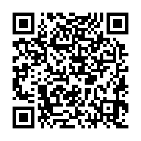 QR code for SAO371
