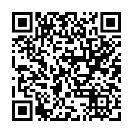 QR code for SCH383