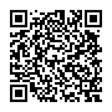 QR code for SCS491