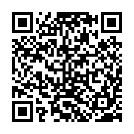 QR code for SDQ294