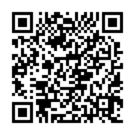 QR code for SEO207