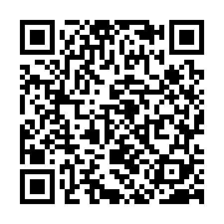 QR code for SEO369