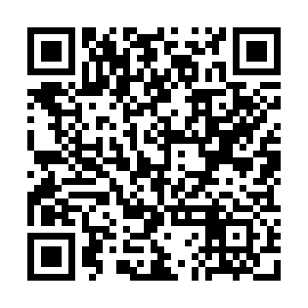 QR code for SFO333