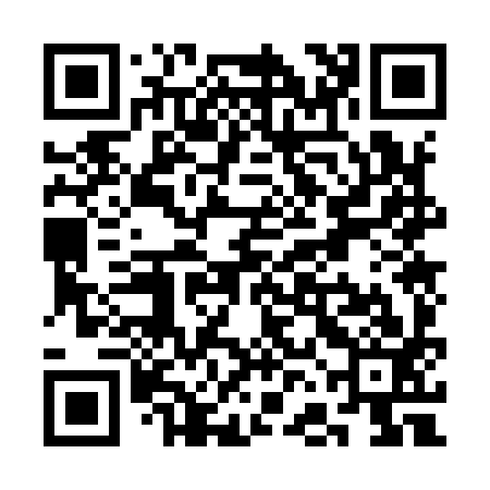 QR code for SFO993