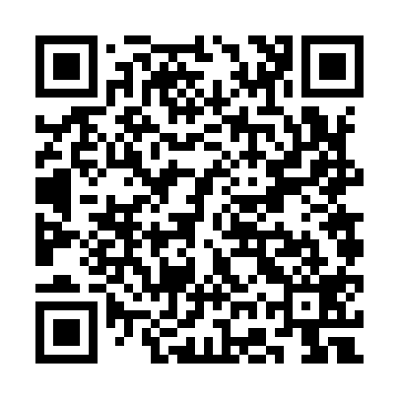 QR code for SGV919