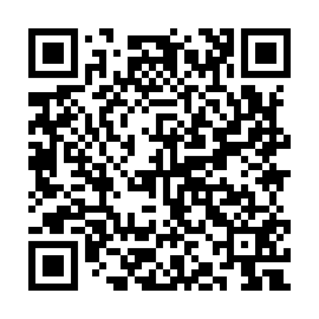 QR code for SJI951