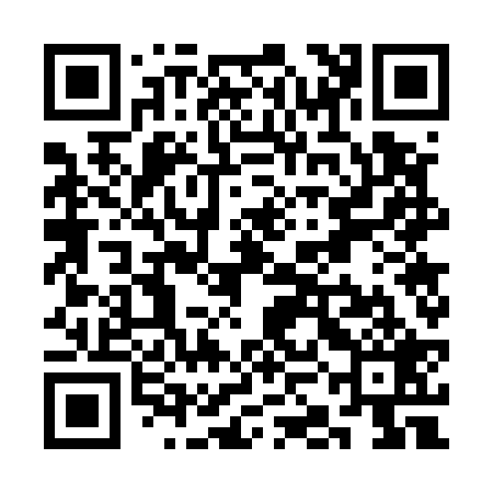 QR code for SKG529