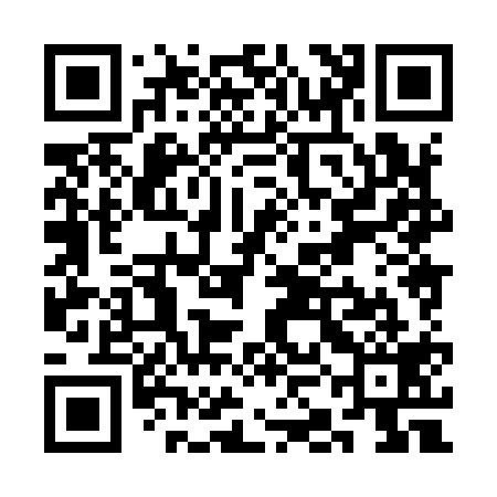 QR code for SKH919