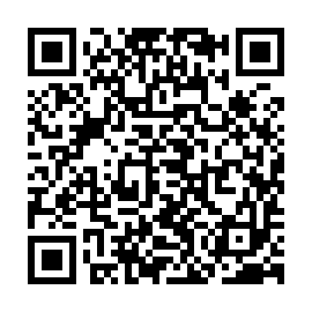 QR code for SOI993