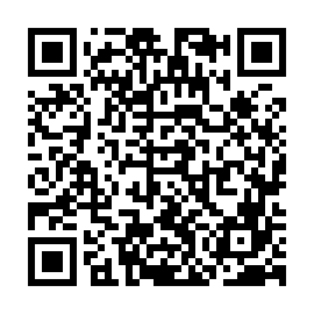 QR code for SON966