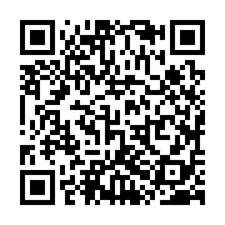 QR code for SPJ318