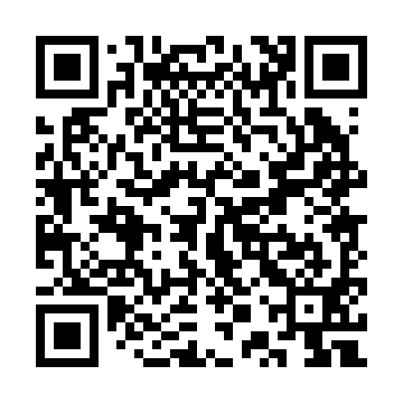 QR code for SPP291